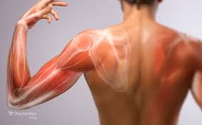 فواید ماساژور خانگی پروانهای شامل کاهش درد، استرس و بهبود گردش خون